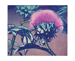 Art Angels - Artichoke by Mabel Royds