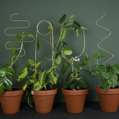 Botanopia Golden Plant Support Stake - Arch