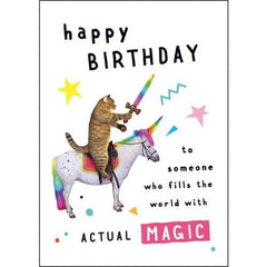 Pigment Productions Cat On Unicorn Actual Magic