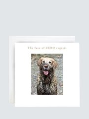 Susan O'Hanlon Muddy Dog Zero Regret Blank Greeting Card