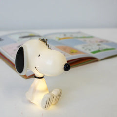 House of Disaster Peanuts Snoopy Keyring