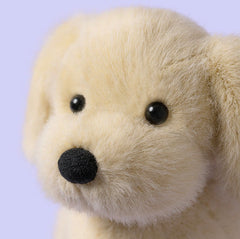 Jellycat Golden Puppy