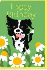 Noi Publishing Boarder Collie Birthday Card