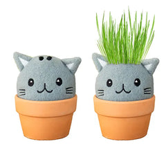 Gift Republic - Cat Grow Kit