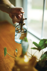 Gentlemen’s Hardware - Plant Mister
