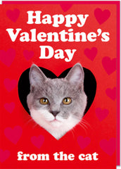 Dean Morris - Happy Valentine's Day from the Cat Card