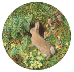Canns Down Press - Rabbit and Primroses