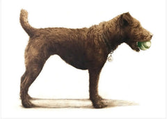 Canns Down Press - Izzy With Her Ball