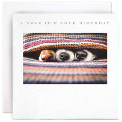 Susan O’Hanlon Dog Noses Birthday Card