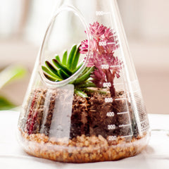 Suck UK - Chemistry Terrarium