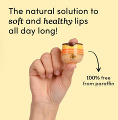 Honeybalm Lip Balms