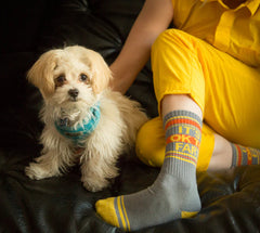 Gumball Poodle Crew Gym Socks - It’s Okay To Fart