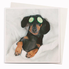 Ustudio - Spa Day Dog Card