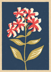 Artpress - Refinement Card