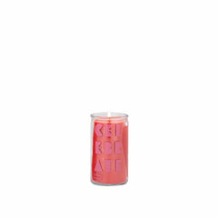 Designworks - Celebrate Spark Candle - Cactus Flower