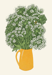 Canns Down Press - Cow Parsley and the Bee