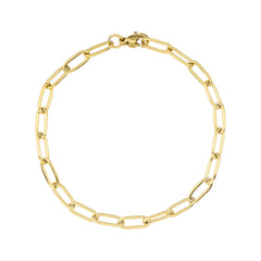 Moments Aura Long Link Chain Bracelet