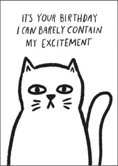 Pigment Productions Cat Excited Card