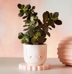 Sass & Belle Mini Girl Power Boobies White Planter