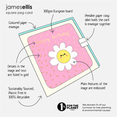 James Ellis Age 12 Zebra Birthday Card