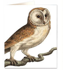 Archivist - Barn Owl Greetings Card