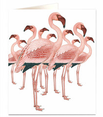 Archivist - Flamingos Greetings Card
