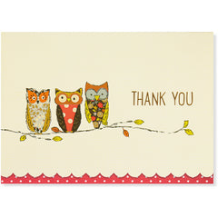 Perching Owls Thank You Folded Note Cards - Peter Pauper Press (Pack of 14)