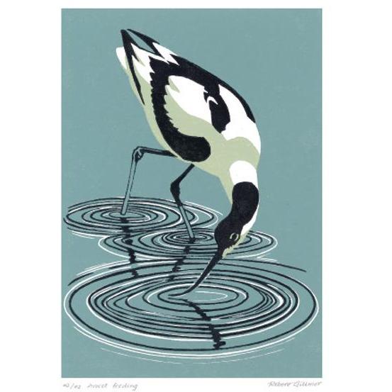 Avocet Feeding Linocut Card - Art Angels by Paul Gilmor