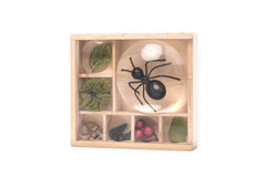 Kikkerland Huckleberry Bug Box