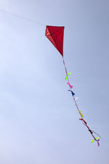 Kikkerland Huckleberry Red Kite