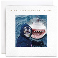 Susan O’Hanlon Shark Birthday Card