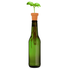 Kikkerland Herb Planter Bottle Top