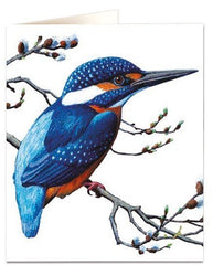 Archivist - Kingfisher Greetings Card
