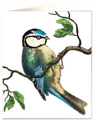 Archivist - Blue Tit Greetings Card
