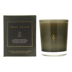 True Grace Fig Classic Candle