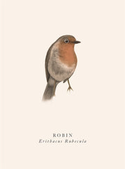 The Art File - Robin Card