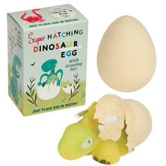 Rex London Hatching Dinosaur Egg