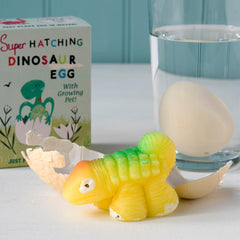 Rex London Hatching Dinosaur Egg