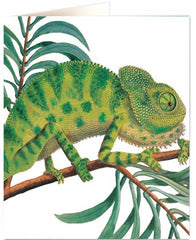 Natural History Museum Chameleon Card