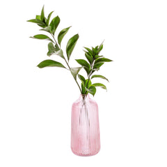 Sass & Belle Tall Fluted Glass Vase Pink