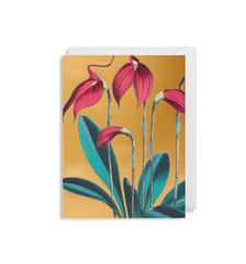 Lagom Design -  Masdevallia Lindeni Mini Card