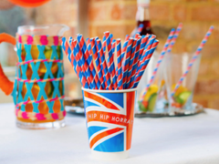 Royal Coloured Paper Straws - Talking Tables