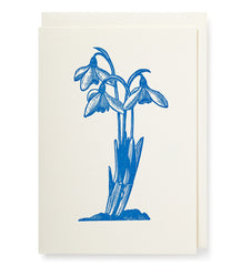 Archivist Press Snowdrop Card