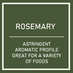 Hydro-Herb Kit- Rosemary