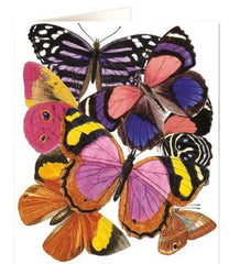 Natural History Museum Butterflies Card