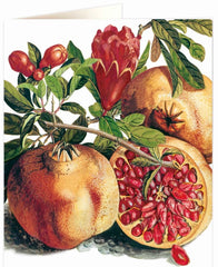 Archivist Pomegranate Natural History Card