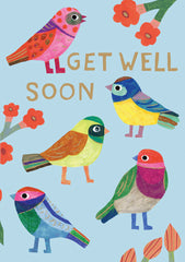 Roger la Borde Get Well Soon Birds Card