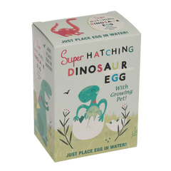 Rex London Hatching Dinosaur Egg
