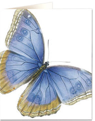 Natural History Museum Butterfly Card