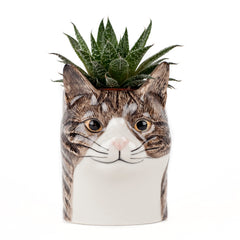 Quail Ceramics Millie Cat Pencil Pot